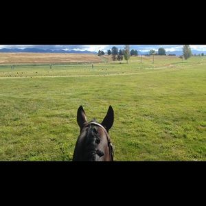 Meet your Posher, Sydney